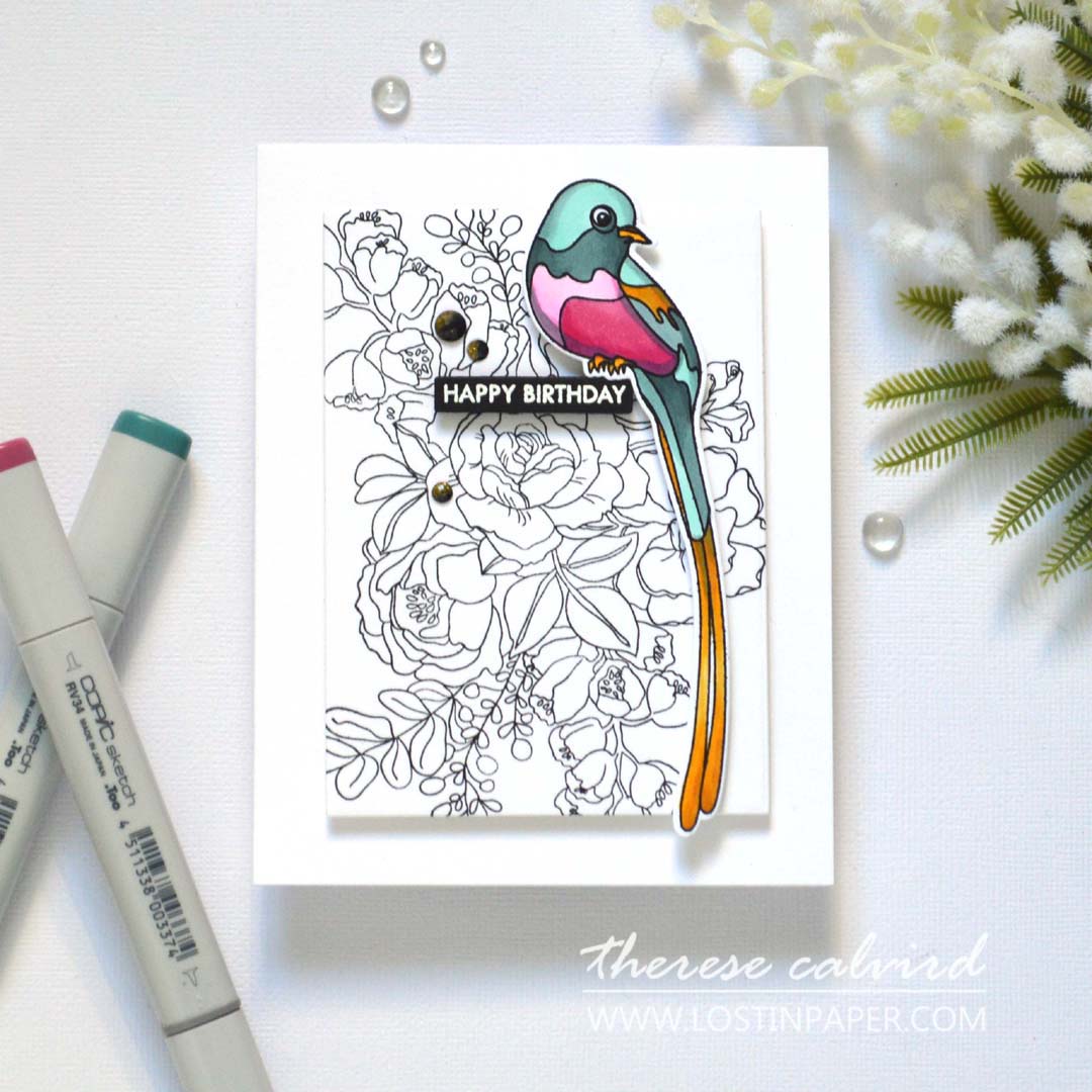 Alex Syberia Designs Avian Allure Stamp Set
