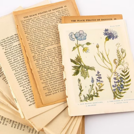Crafty Kelly, Old Book Pages - 40 Various pages and various sizes