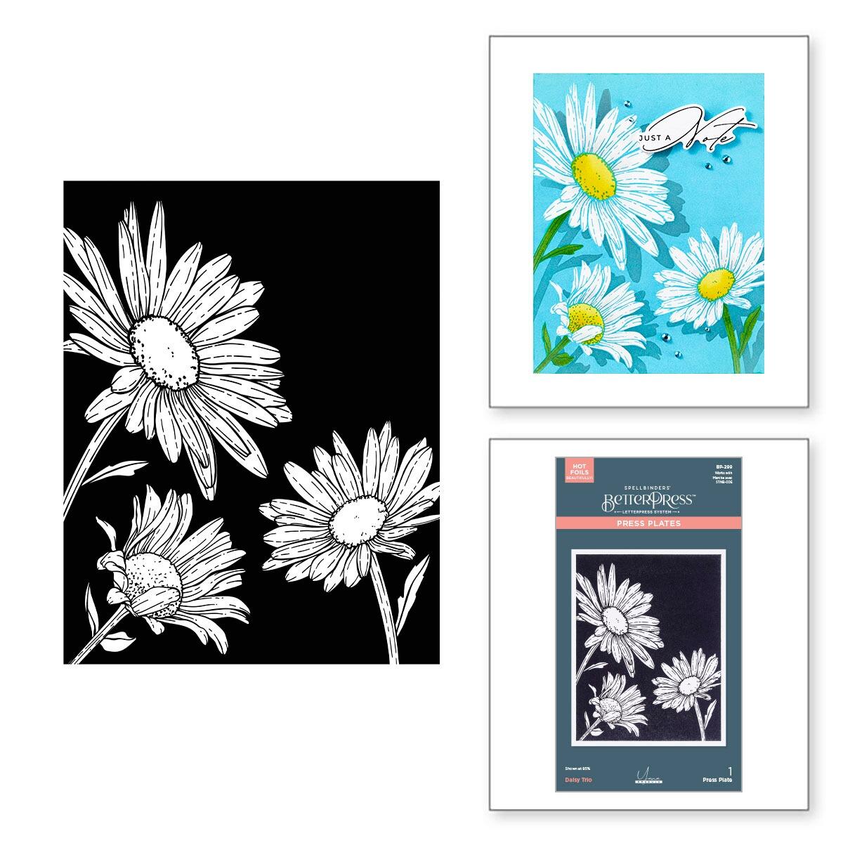 Spellbinders Daisy Trio Press Plates from the Yana's Daisies Collection by Yana Smakula