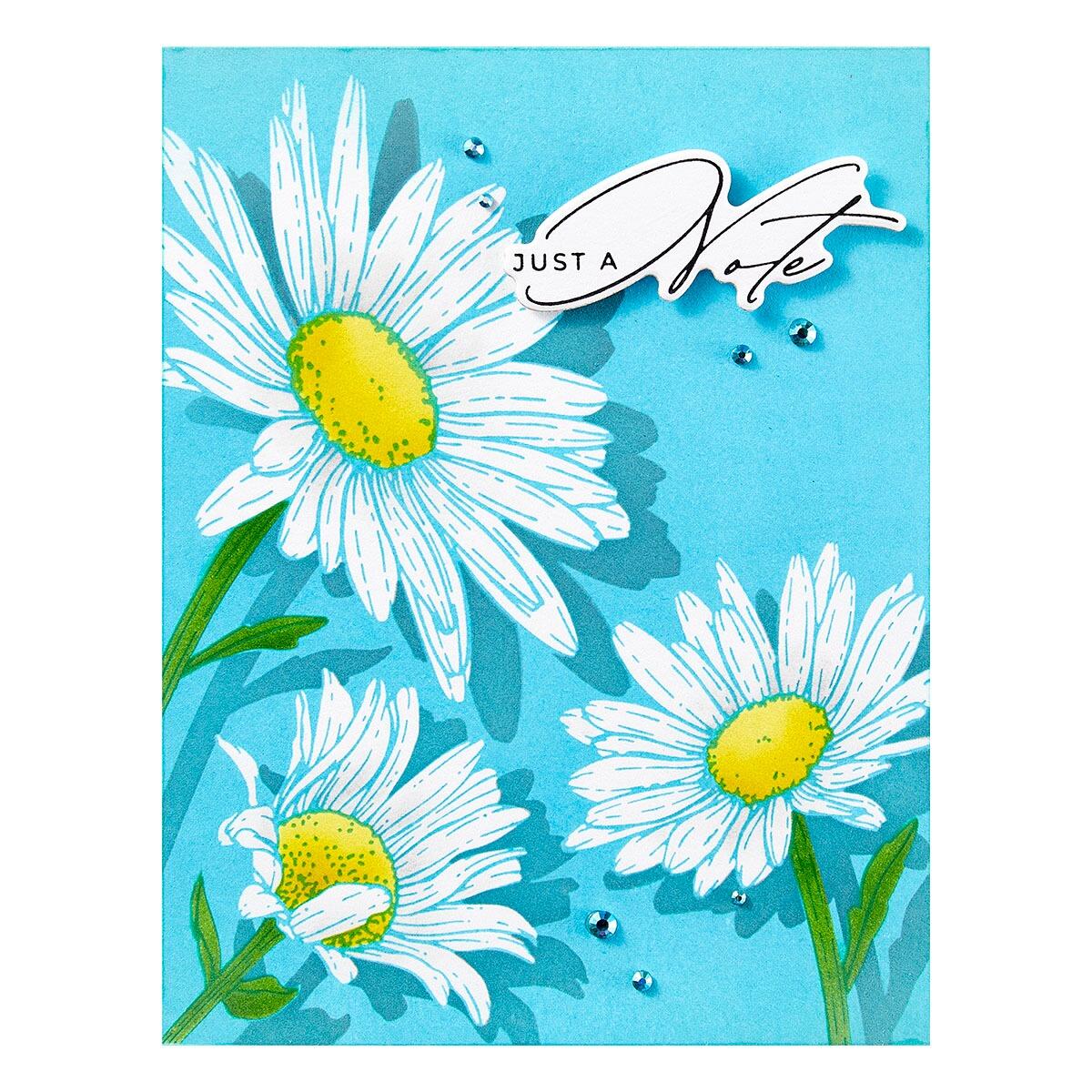 Spellbinders Daisy Trio Press Plates from the Yana's Daisies Collection by Yana Smakula