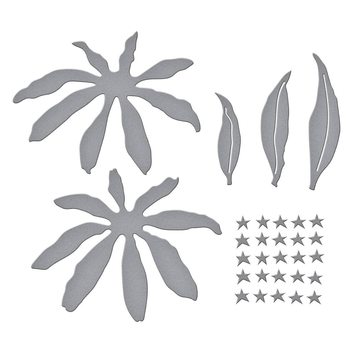 Spellbinders Echinacea (Coneflower) Etched Dies from the Summer Solstice Garden Collection by Susan Tierney-Cockburn -  Spellbinders - 3