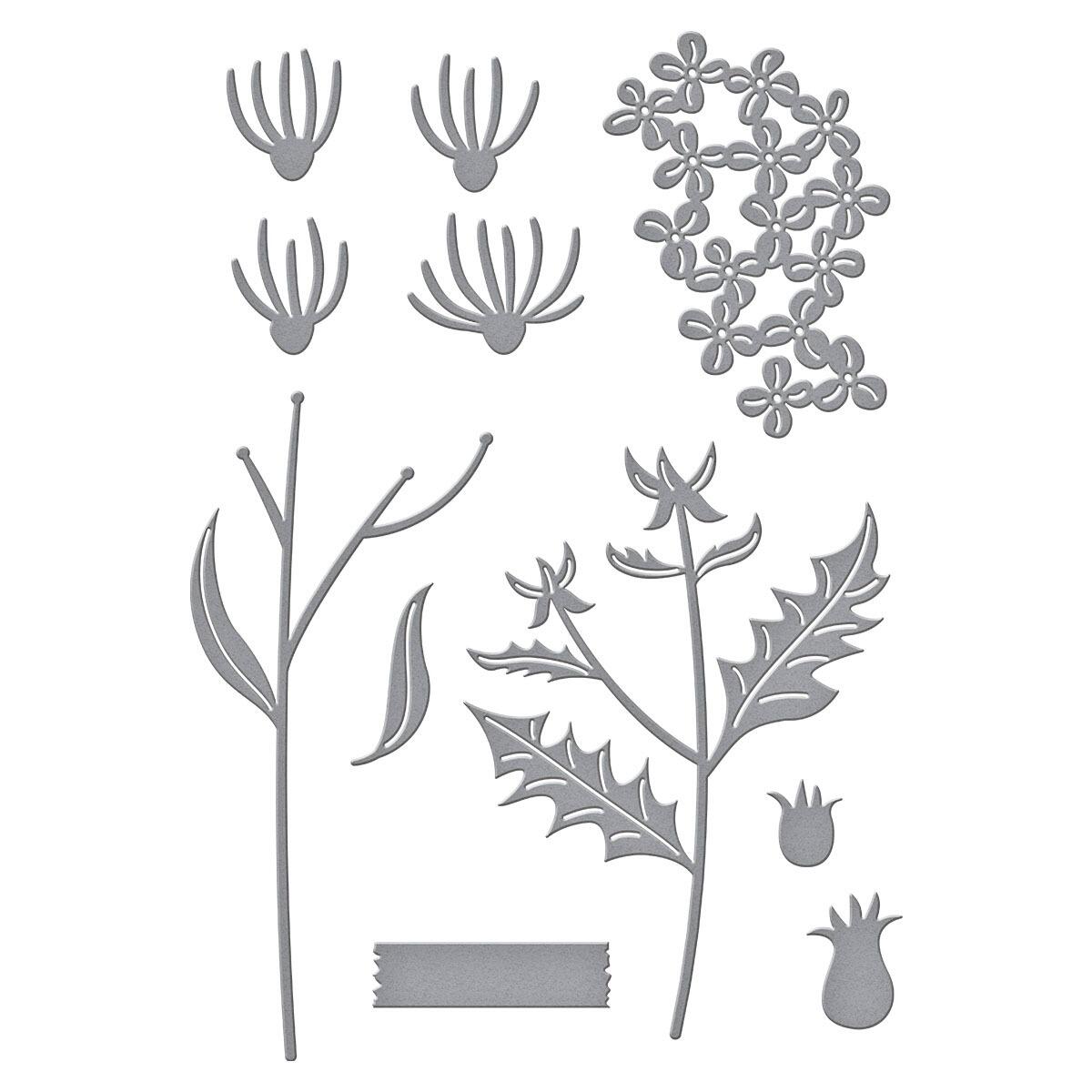 Spellbinders Field Notes Wildflowers Etched Dies from the Field Notes Collection