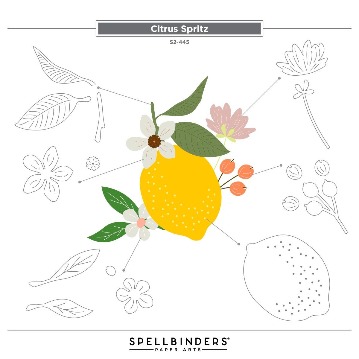 Spellbinders Citrus Spritz Etched Dies from the La Dolce Vita Collection